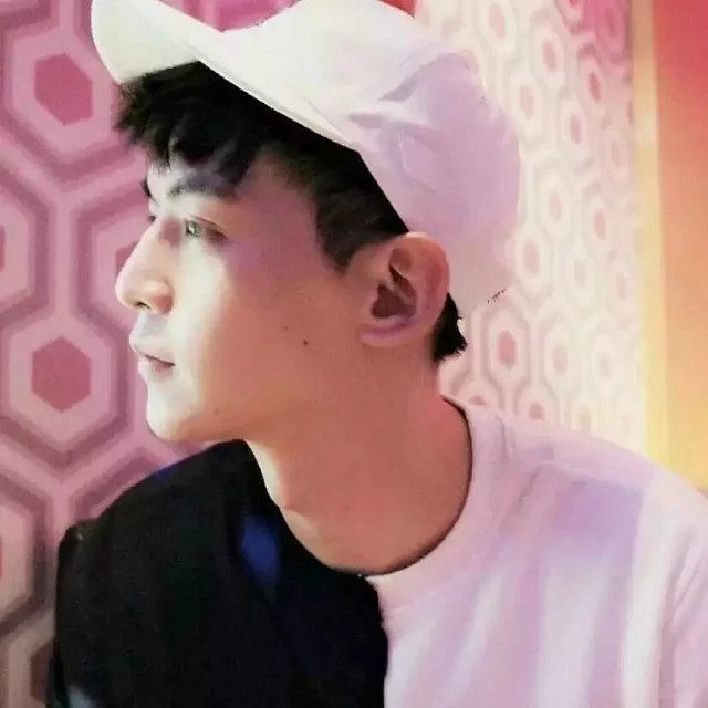 白鹭